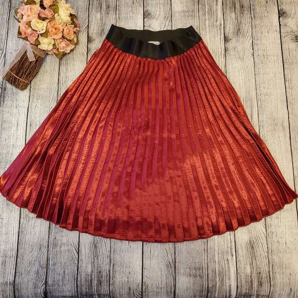 Charlotte Russe Dresses & Skirts - Pleated midi skirt. Preowned. Size M